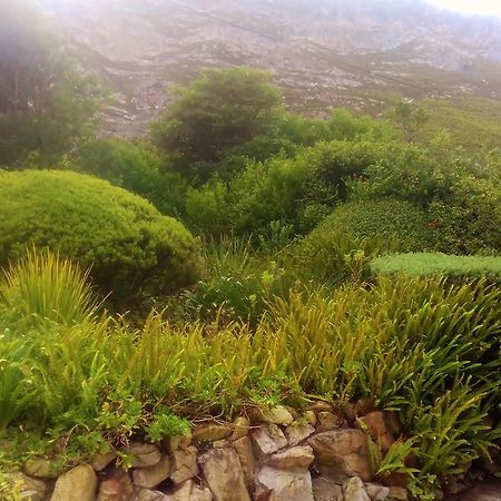 Whale Coast Villa Hermanus Esterno foto