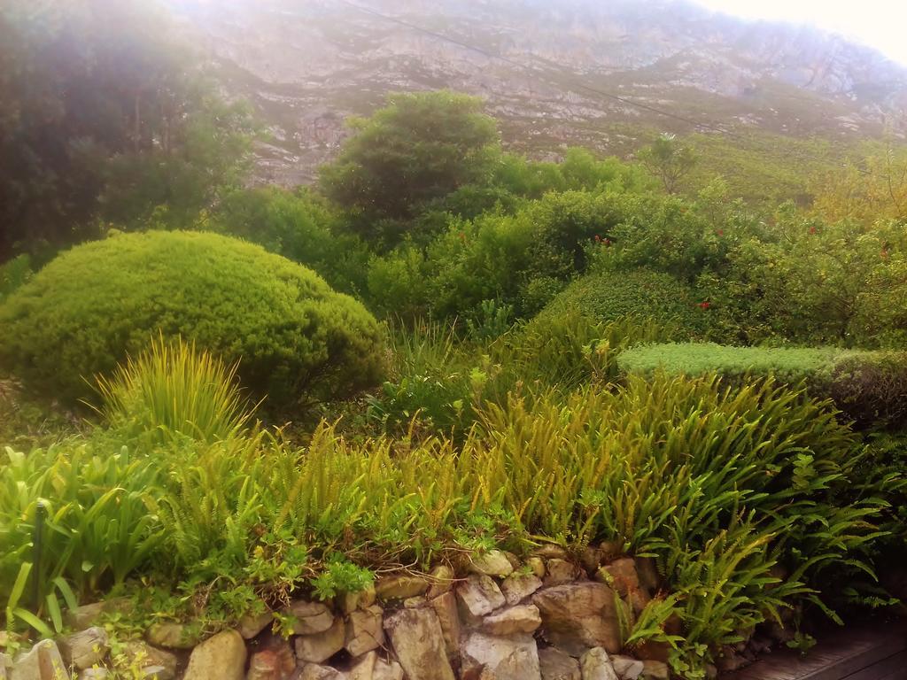 Whale Coast Villa Hermanus Esterno foto